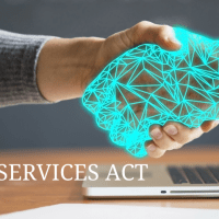 DSA - DIGITAL SERVICES ACT